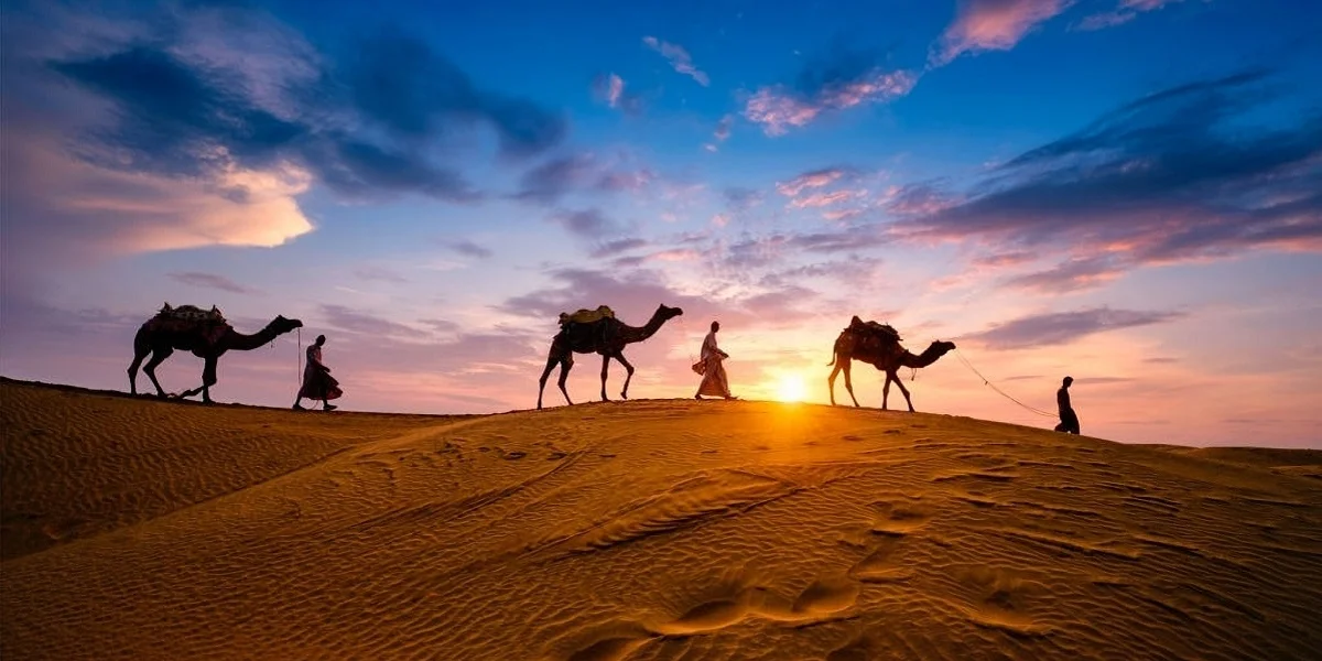 Camel Ride, Rajasthan